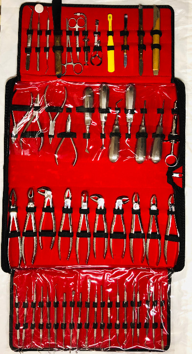 NEW 54 Pcs Oral Dental Surgery Extracting Forceps Elevators Stainless Steel Tool