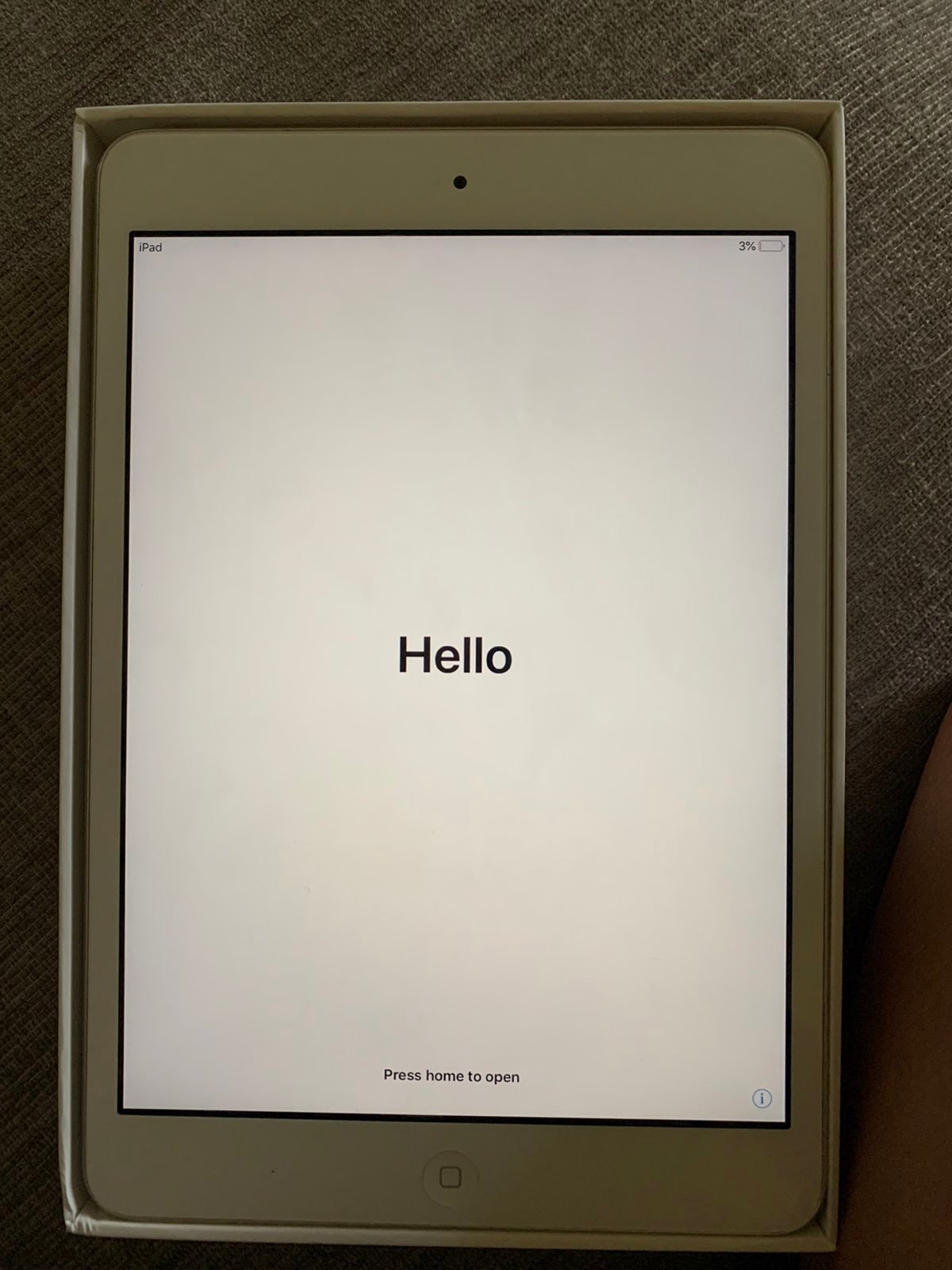 iPad Mini 2