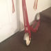 1960 TROTTINETTE RADIO FLYER retro red