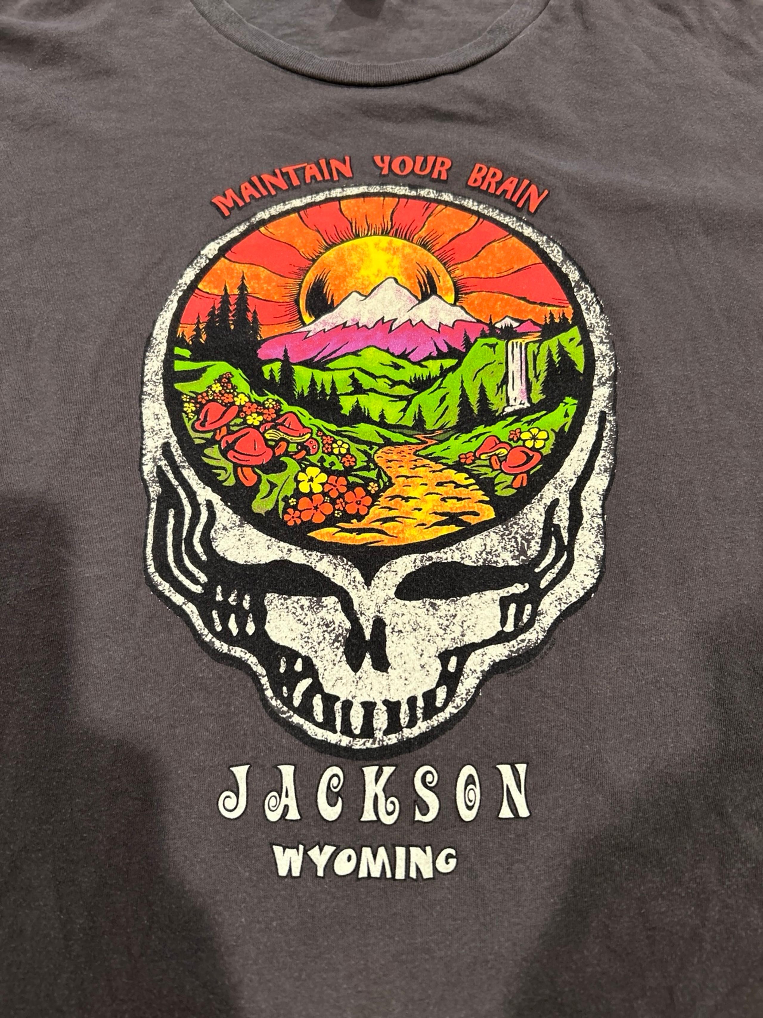 Grateful Dead Jackson Wyoming Maintain Your Brain Shrooms shirt 2XL Deadhead