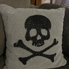 Rare Potter Barn Beaded Skull & crossbones pillow EUC