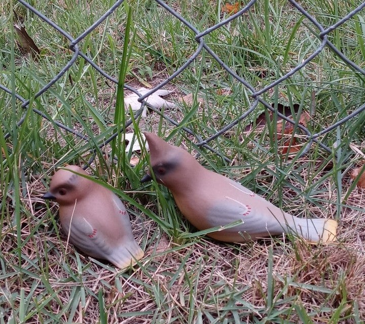 VINTAGE. POTTERY , PARENT & BABY BIRD CEDAR WAXWING M-D CALIF. 1973 FIGURINES