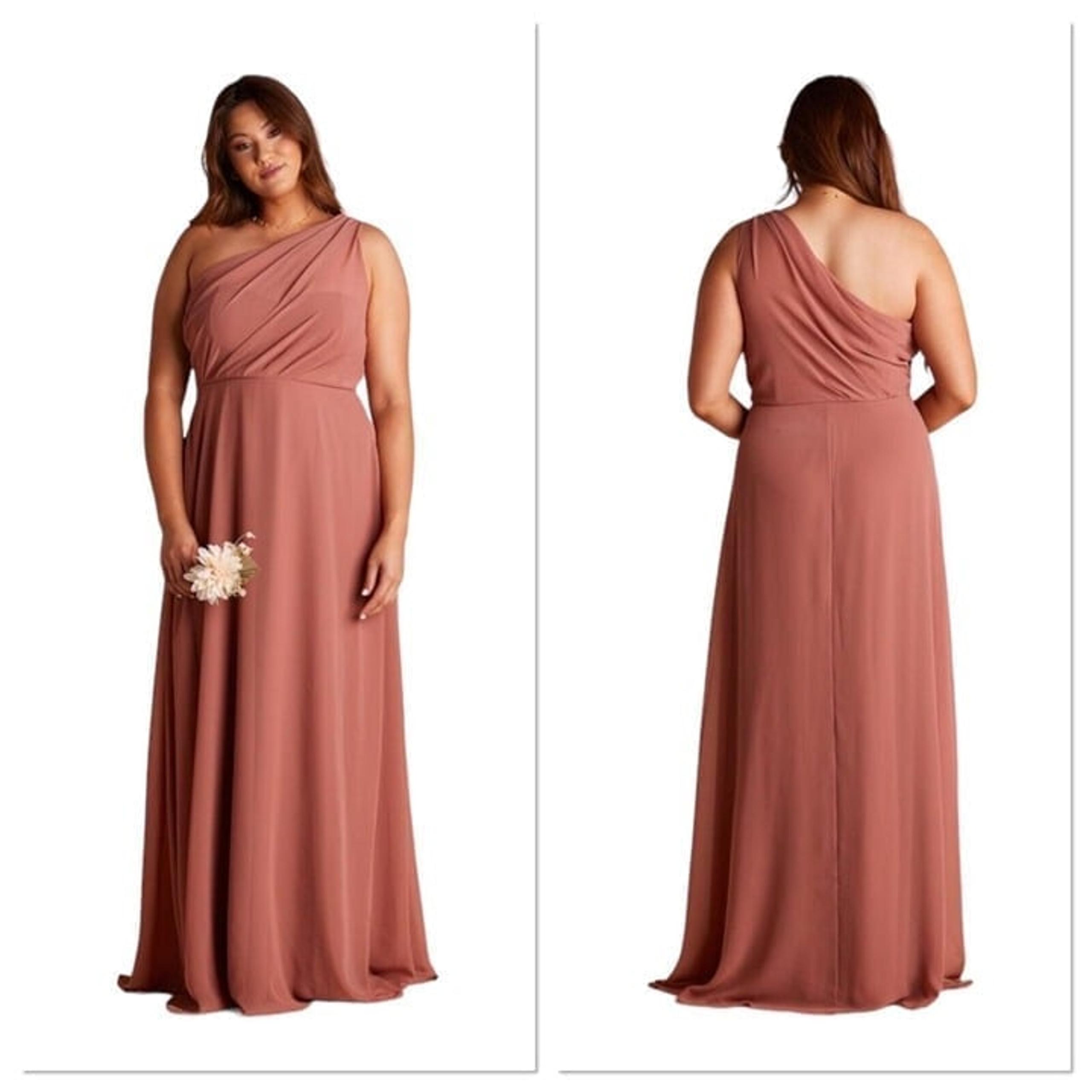 Birdy Grey Kira One Shoulder Chiffon Dress Desert Rose Size XXL No Slit Formal