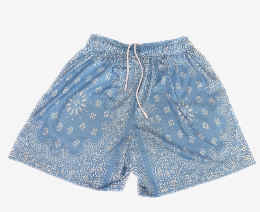 bravest studios shorts bluey Paisley
