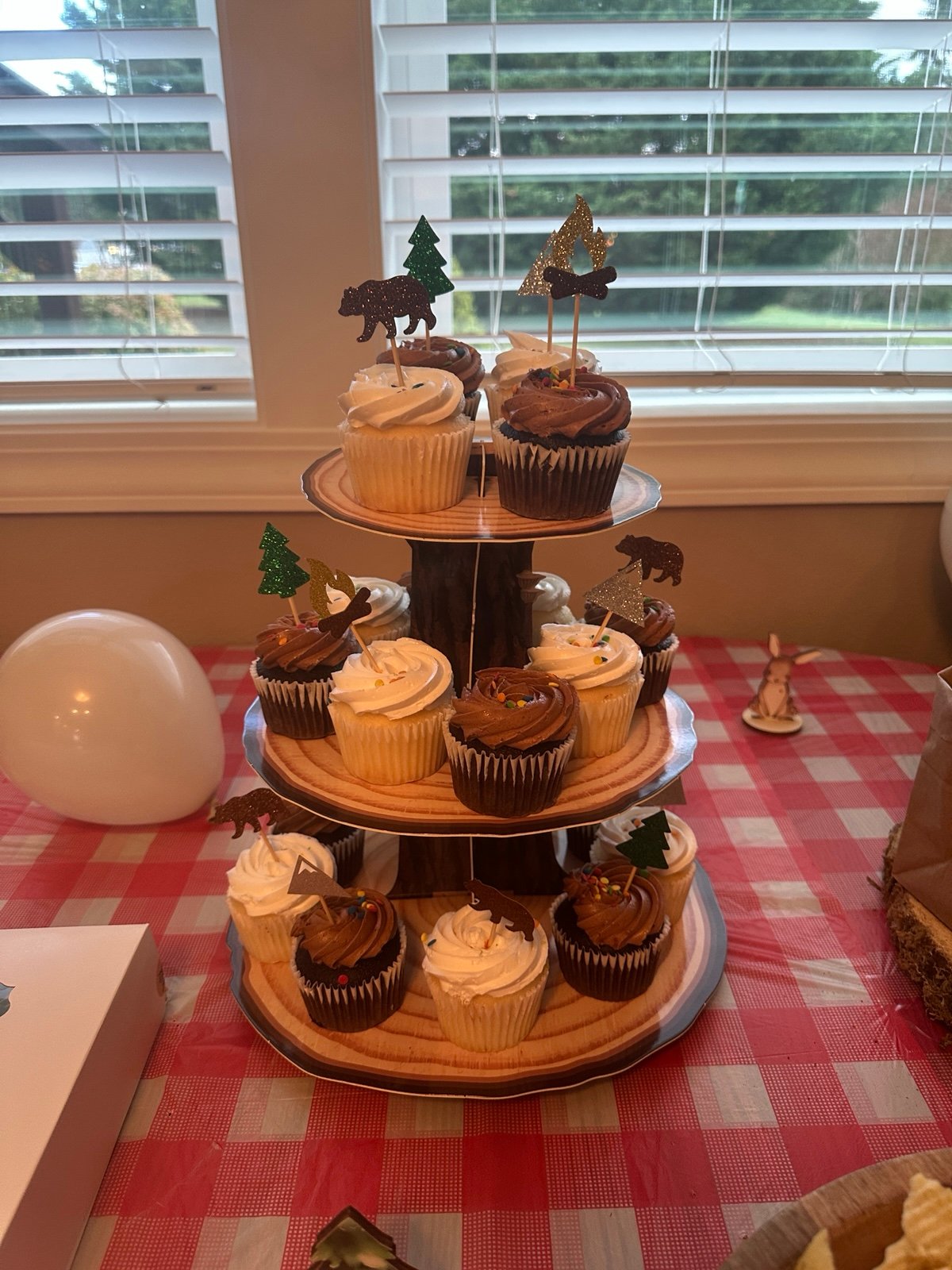 One Happy Camper Birthday decor set