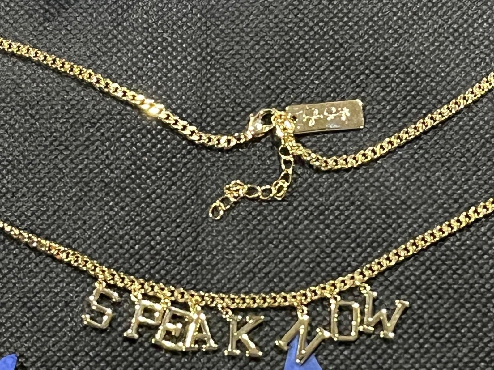 Taylor swift SpeakNow Necklace