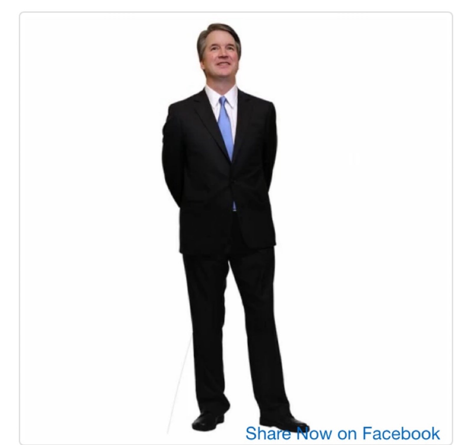 BRETT KAVANAUGH LIFE SIZED CARDBOARD CUTOUT FREE SHIP!!