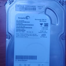 Seagate hard drive 250 GBs