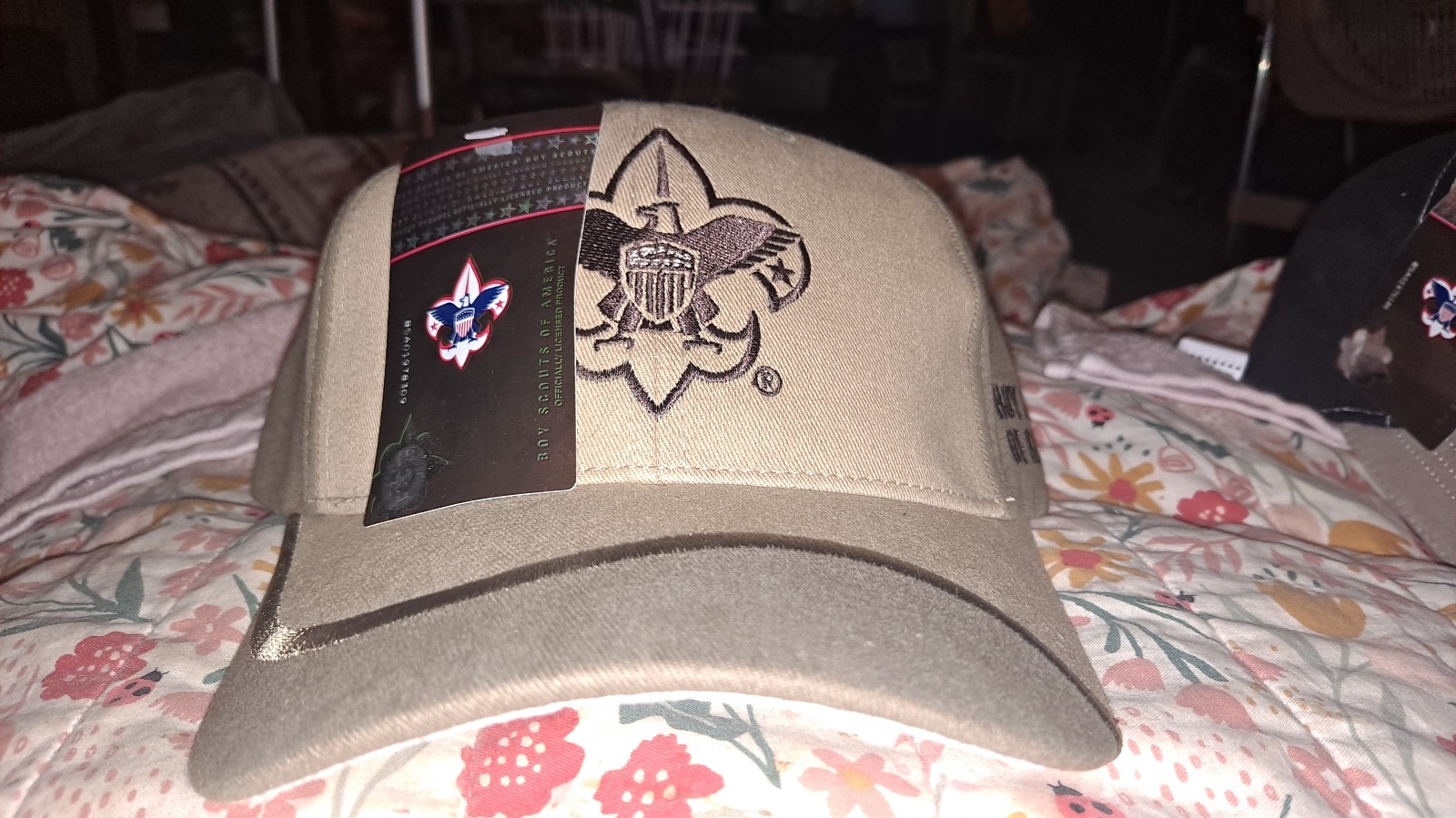 Boy Scouts Of America Scouting Hat