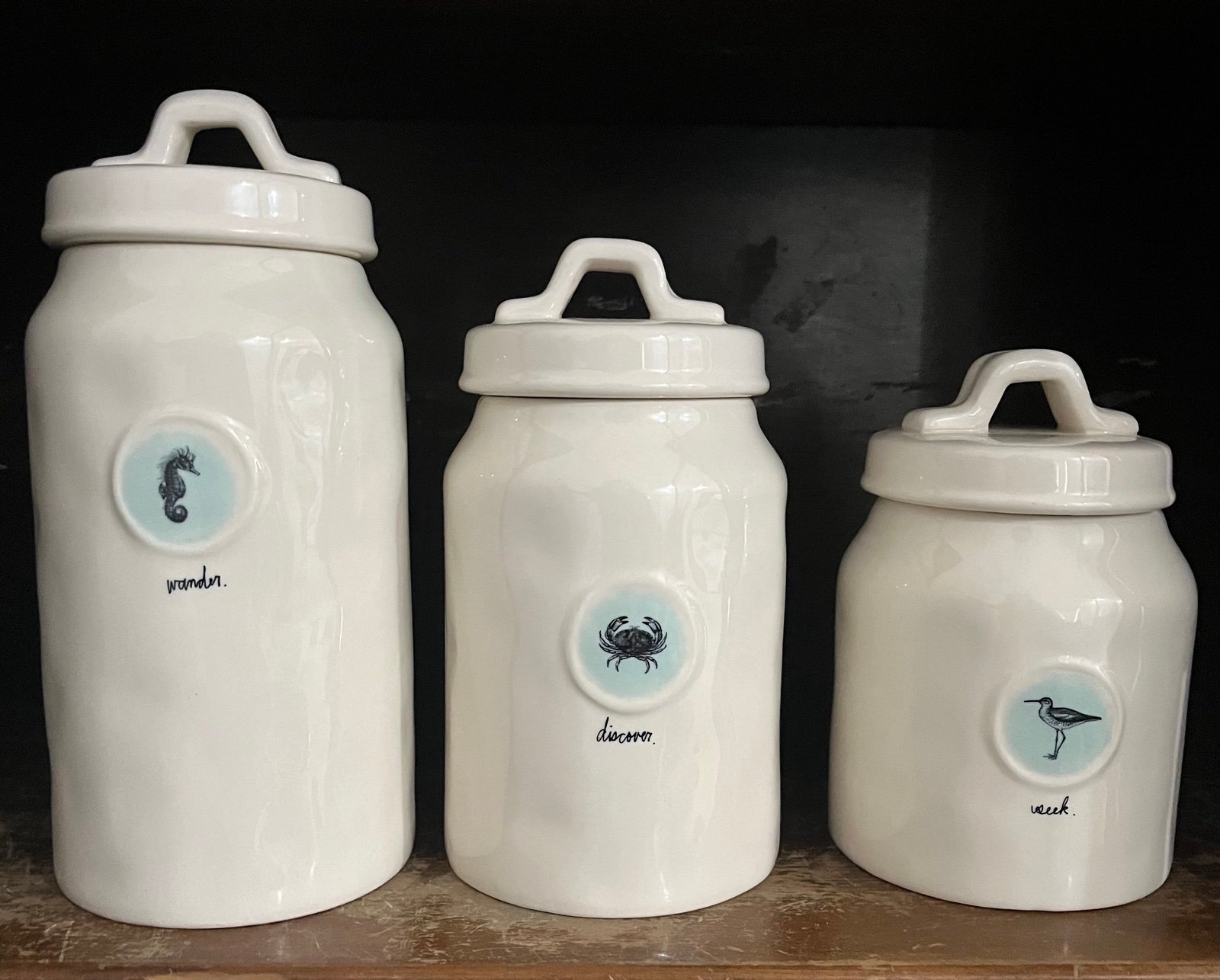 Rae Dunn Wonder Discover Seek Canister Set