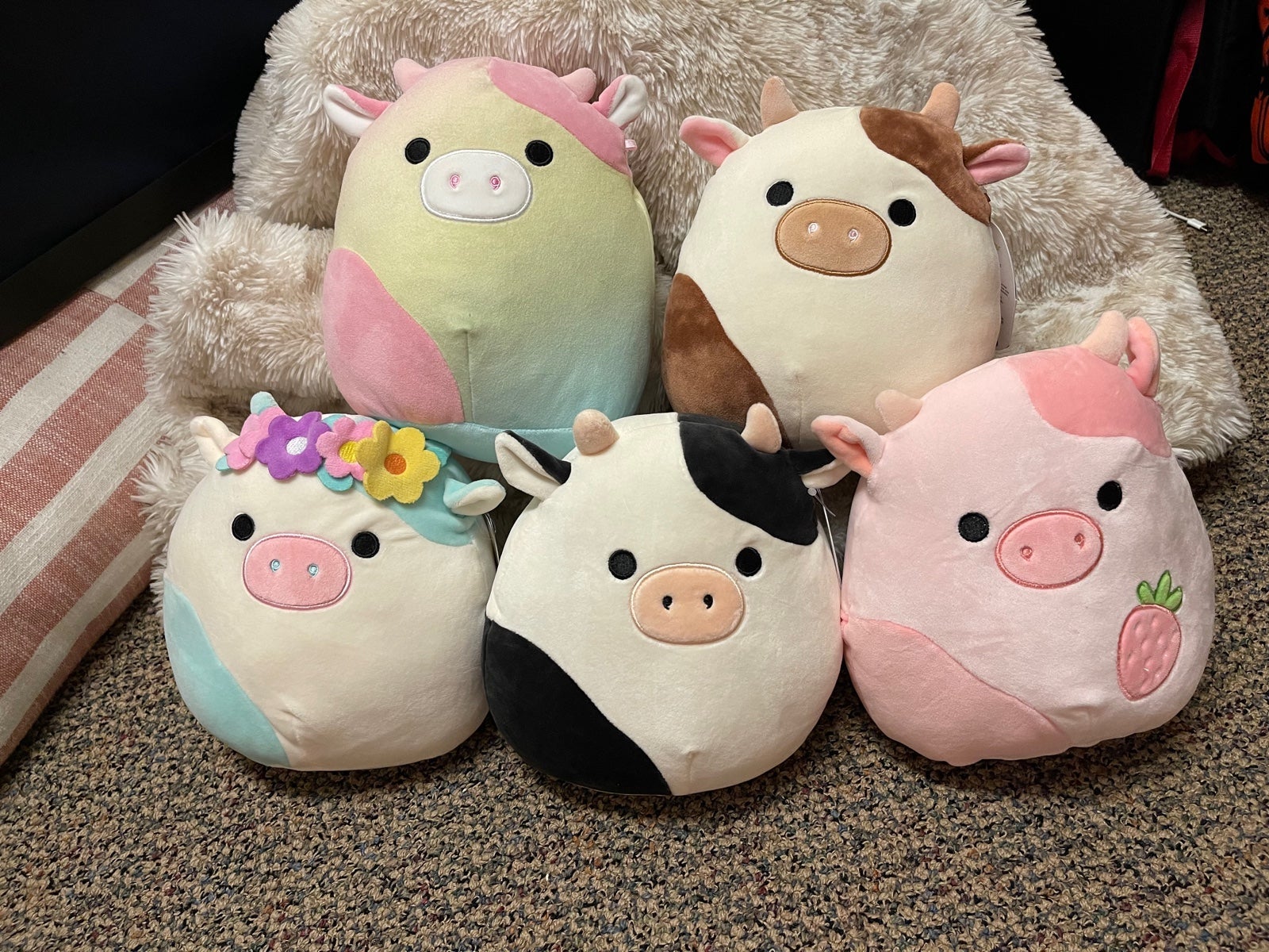 Cow Squishmallows!