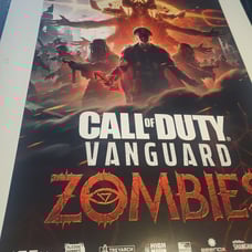 Call of Duty Posters Zombies Vanguard poster