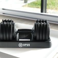 55lb adjustable dumbbells