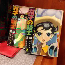 Twin Knights Volume 7 & 8 Set (Part 1 & Part 2)