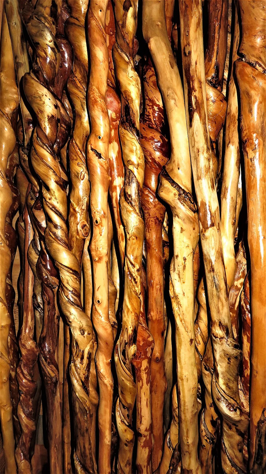 Walking sticks