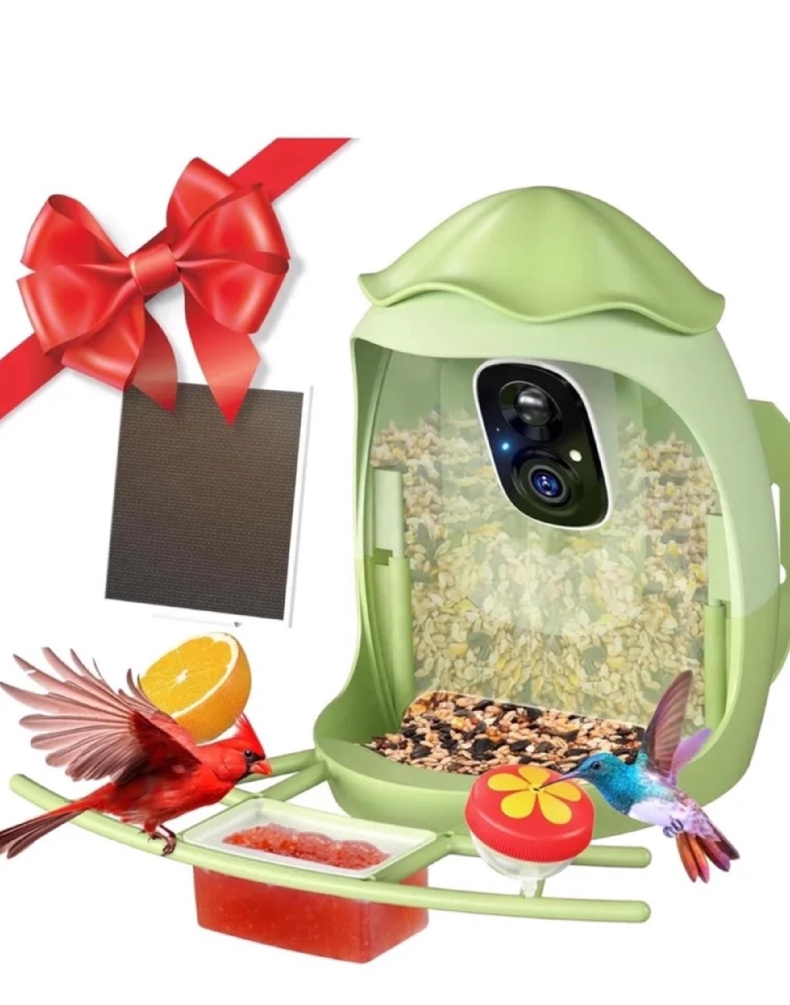 Bird Feeder with Camera