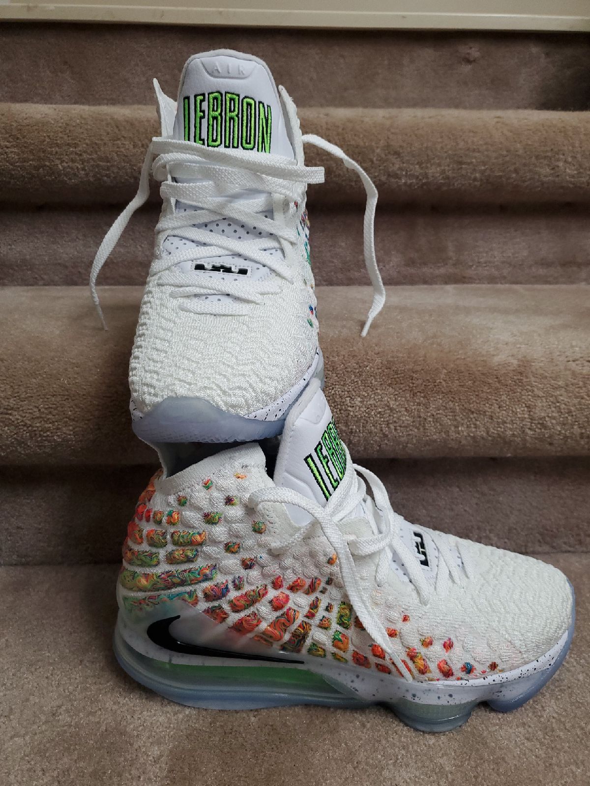 Nike Lebron 17