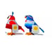 Summer Birds 2024 4th of July Featherly Friend Sun Squad - Bubba & Starla