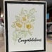 Spellbinders Betterpress NEW