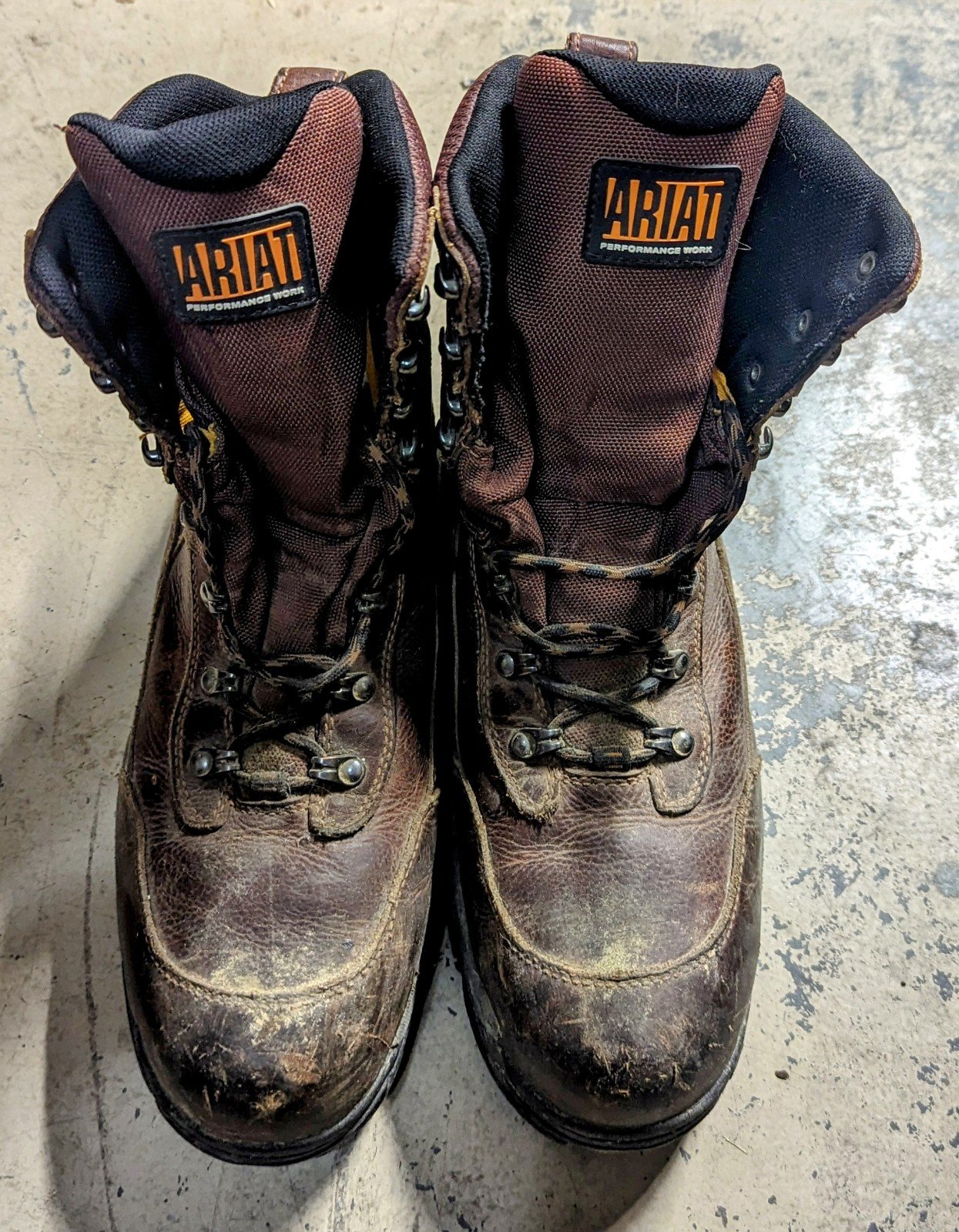 Ariat Workhog Trek boots