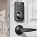 Keyless Entry Door Lock Deadbolt with Handle Set, Keypad Door Lock with Handle