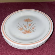 Corning Corelle Peach Floral Salad Plates 7.5 in. Set Of 8 Rare Discontinued