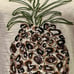 Tommy Bahama Sequin Pineapple Lux Cotton 3/4 Sleeve Shirt
