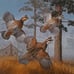 Bobwhite Quail by David Maass - International Quail Foundation 1982 Stamp Print