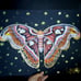 Atlas Moth Painting