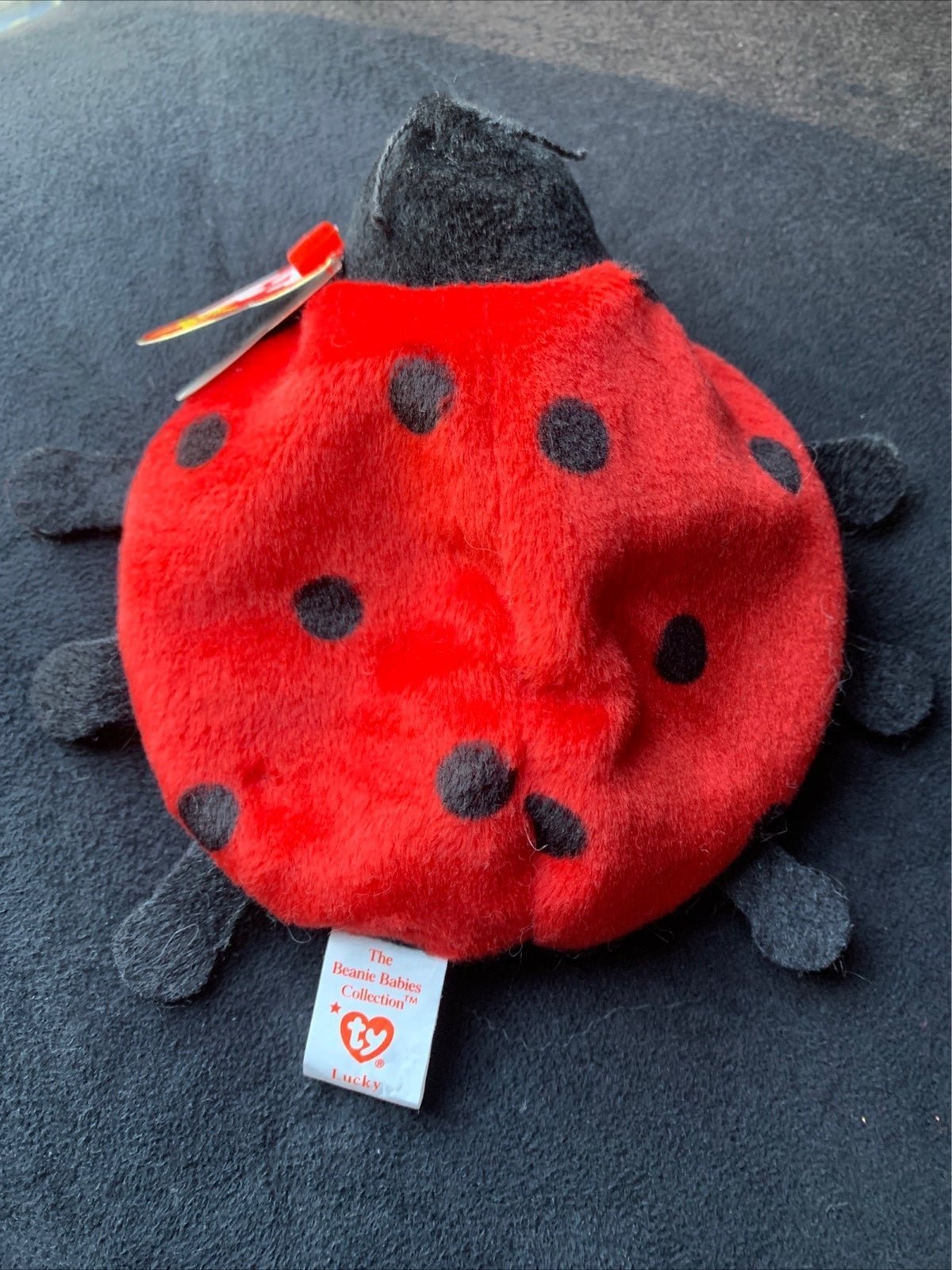 Ty Beanie Babies Lucky The Ladybug RARE