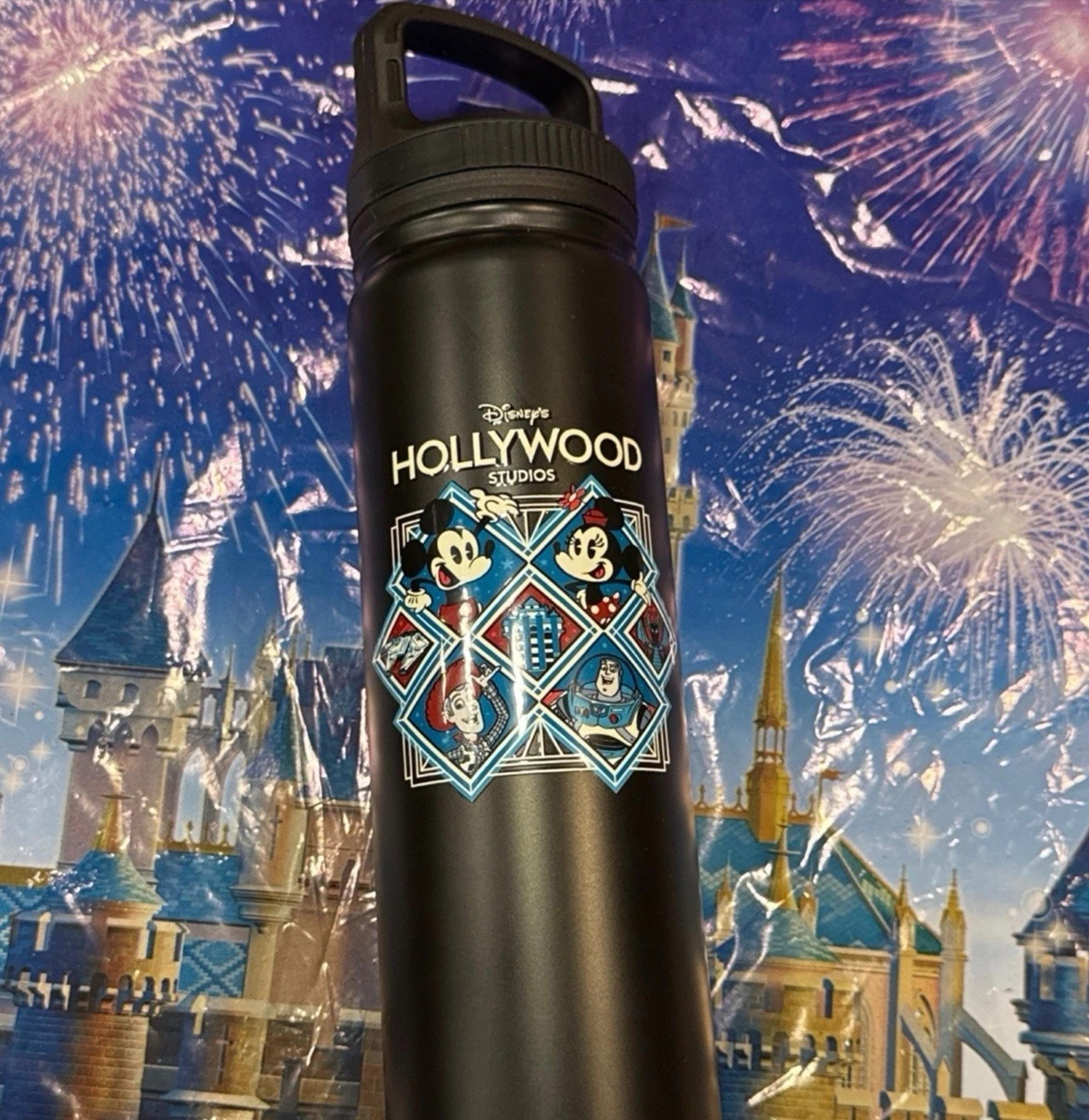 2025 Disney Parks Exclusive Hollywood Studios Insulated Aluminum Tumbler Cup