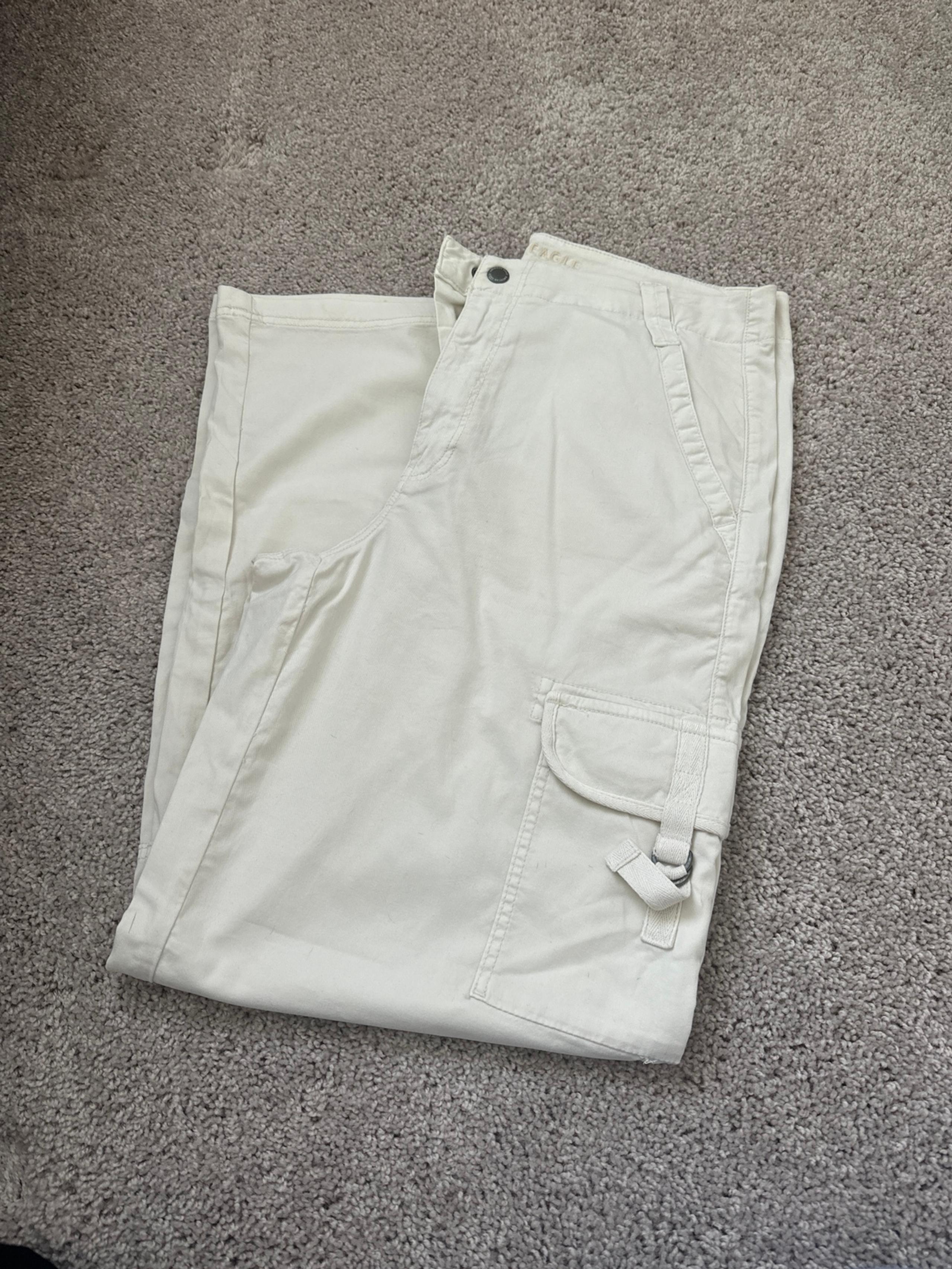 American Eagle Baggy Wide Leg Pants