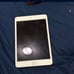 iPad mini 5th generation Gold