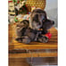 Vintage Japan Cheerful Dachshund Battery Operated Toy Rare 1960
