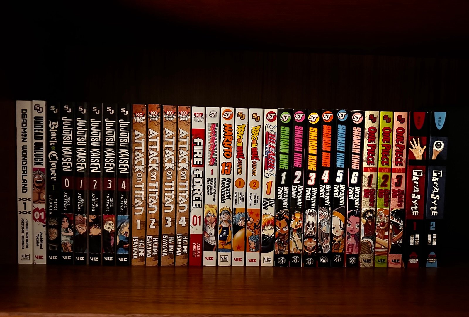 Manga lot