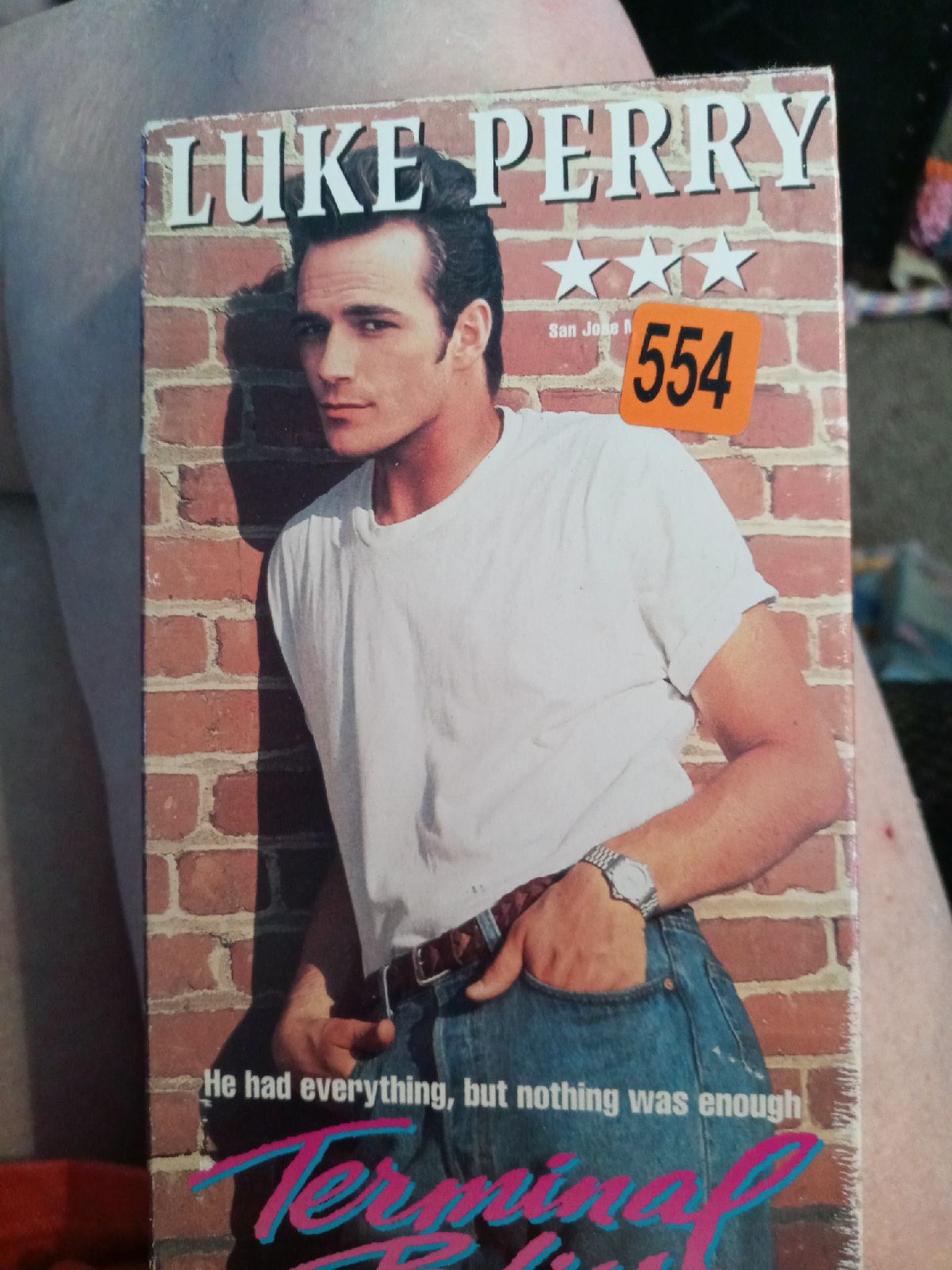 Terminal Bliss Luke Perry