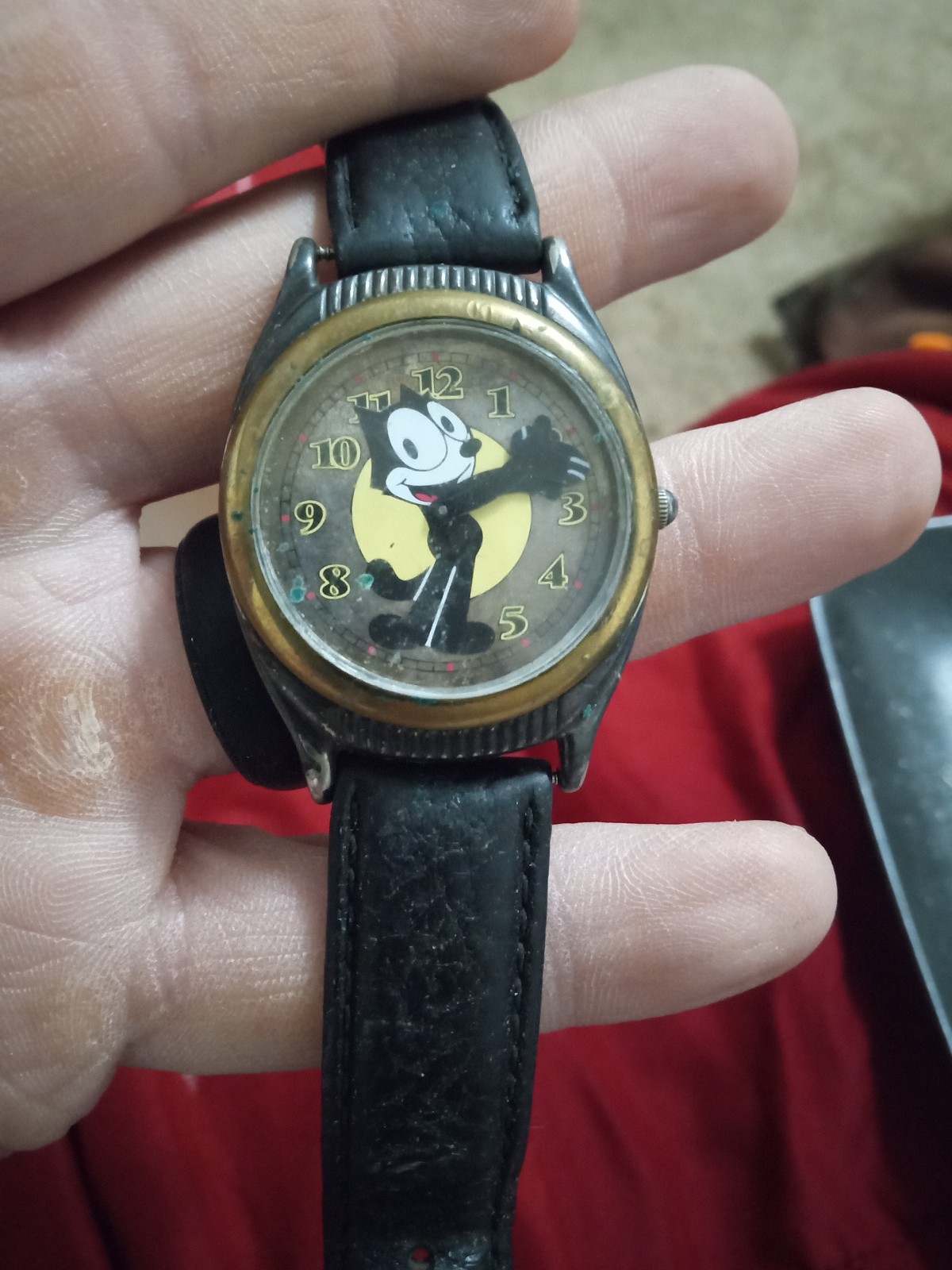 Fossil watch