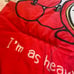 RARE 2001 Sanrio Hello Kitty - “I’m as Heavy as 3 Apples” Blanket -Japan