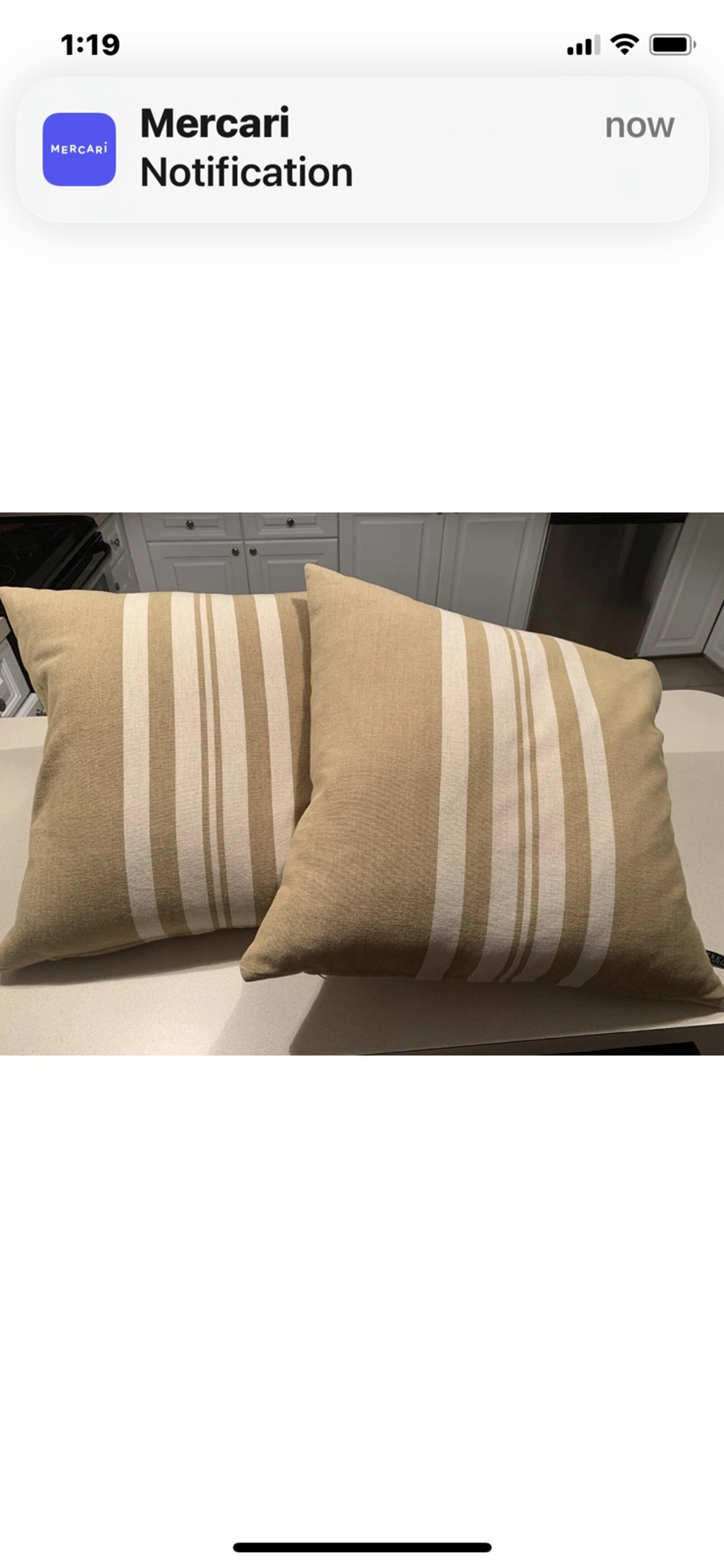 2-Lauren Ralph Lauren  Large 20" x 20"  Striped Tan Decorative Feather Pillows