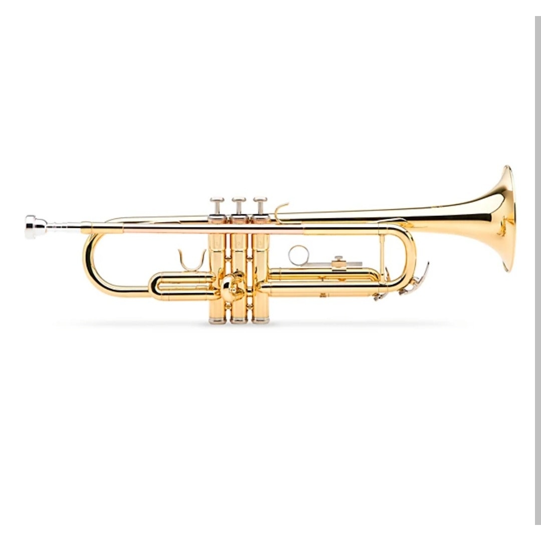 Etude Trumpet ETR-100 Series Student Bb Beginner Novice Lacquer Case Brass