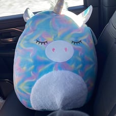 NWT Rodina squishmallow