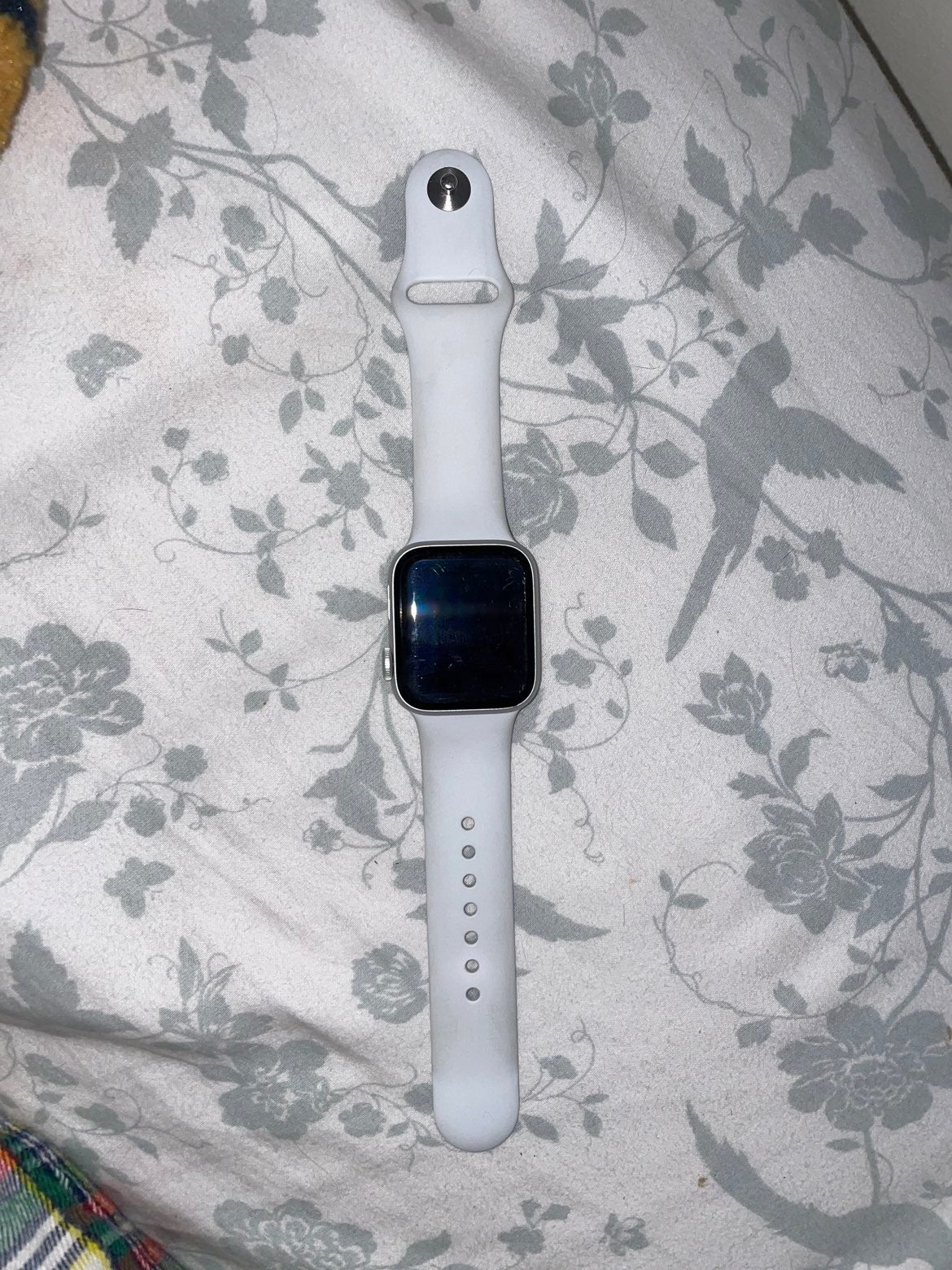 Apple Watch series 5 40 mm aluminum and ceramic case