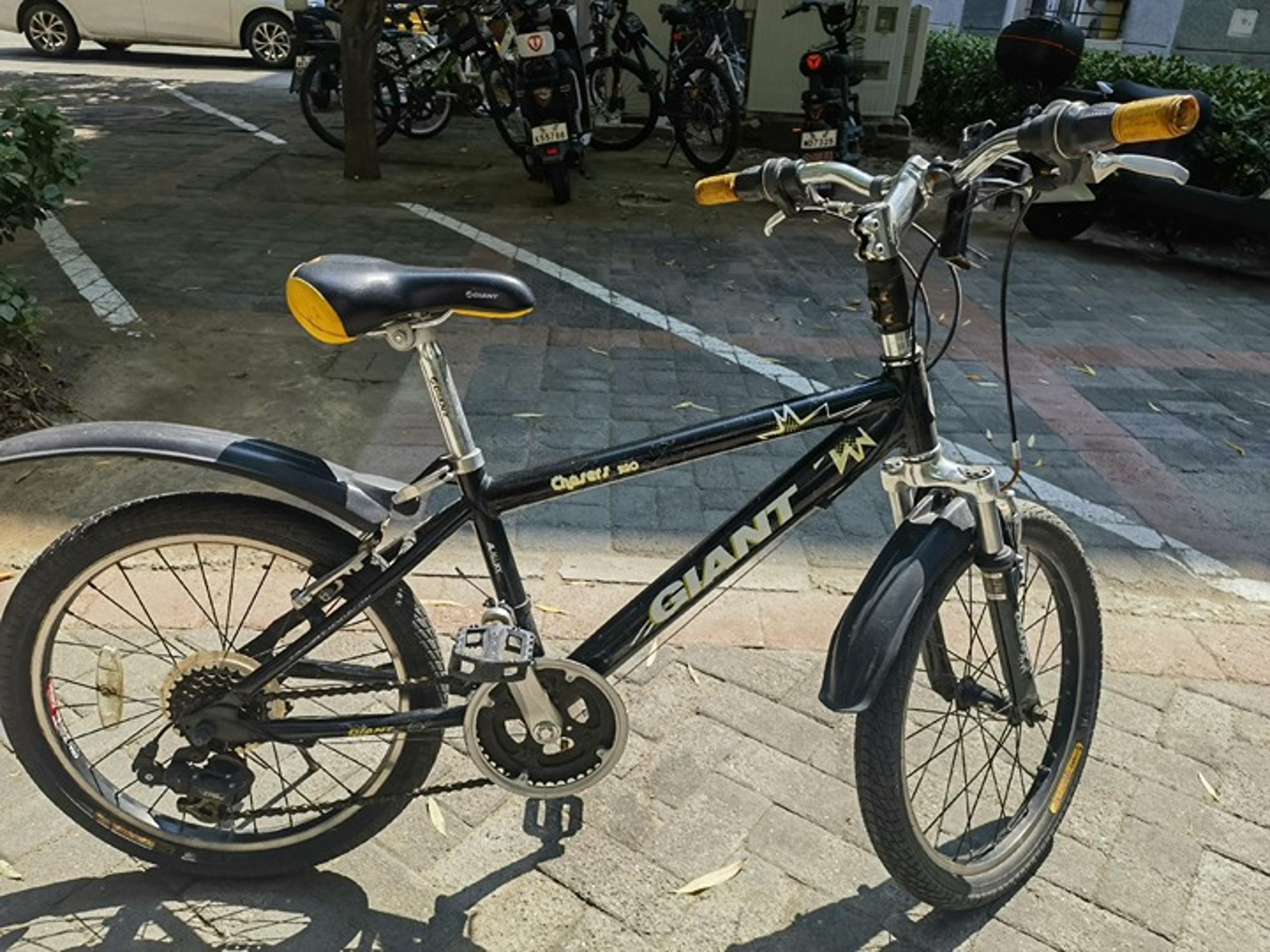 Giant bike