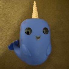 Mr. Narwhal