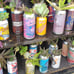 Beer can garden Upcycled plant in can. Too many different plants to count with r