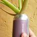 Beer can garden Upcycled plant in can. Too many different plants to count with r