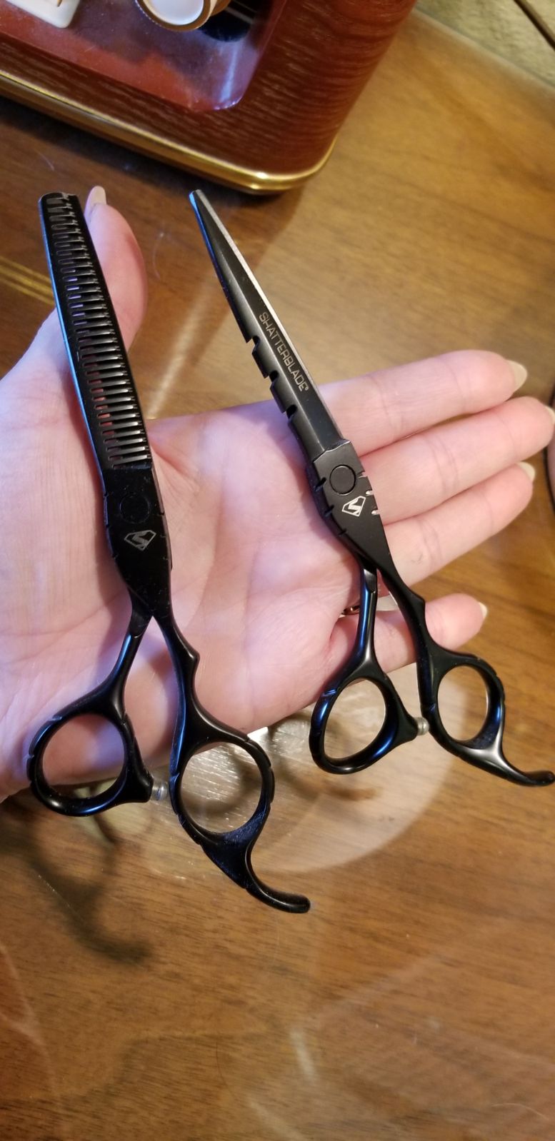 Pair of Professional Shears