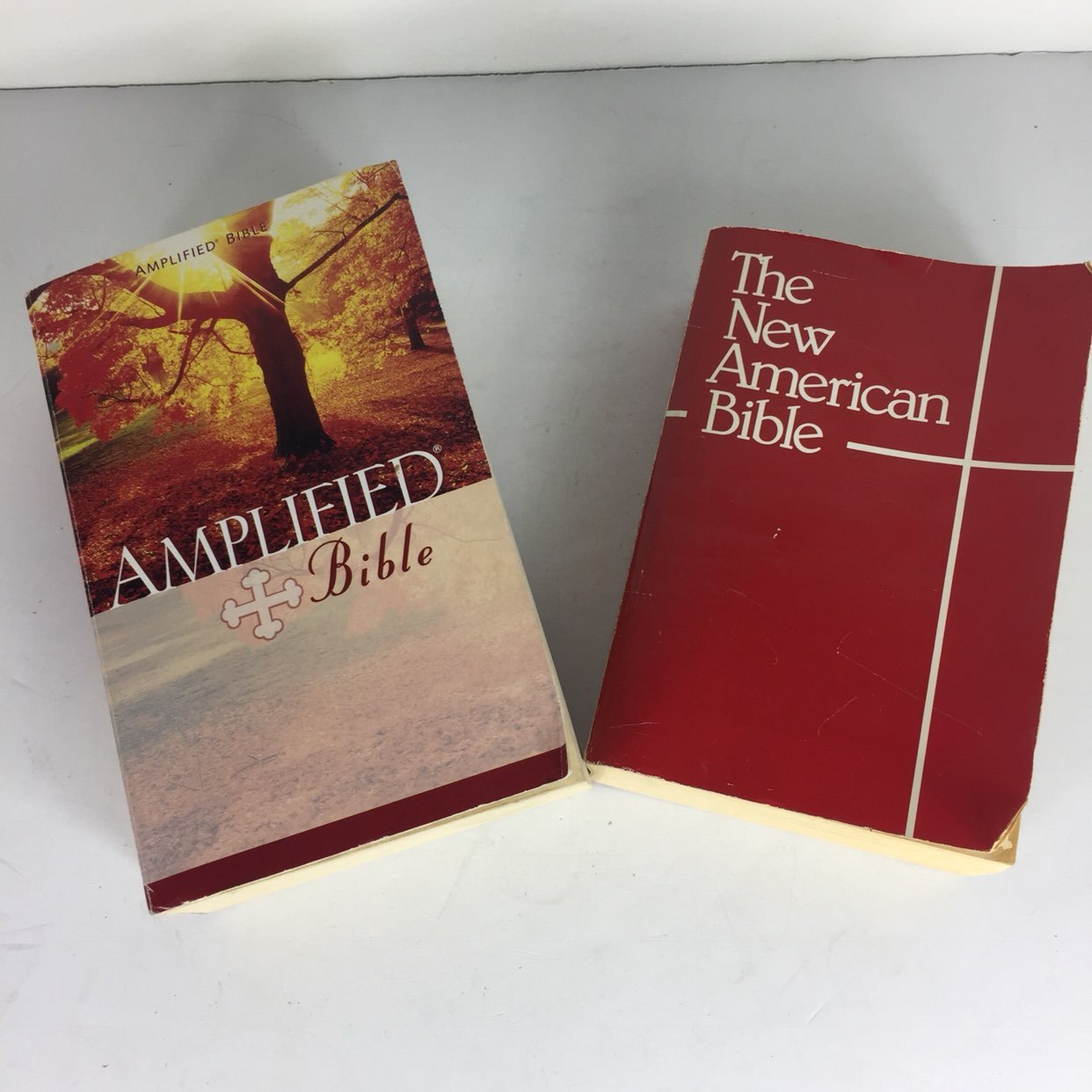 Lot Of 2 New American Amplified Bible