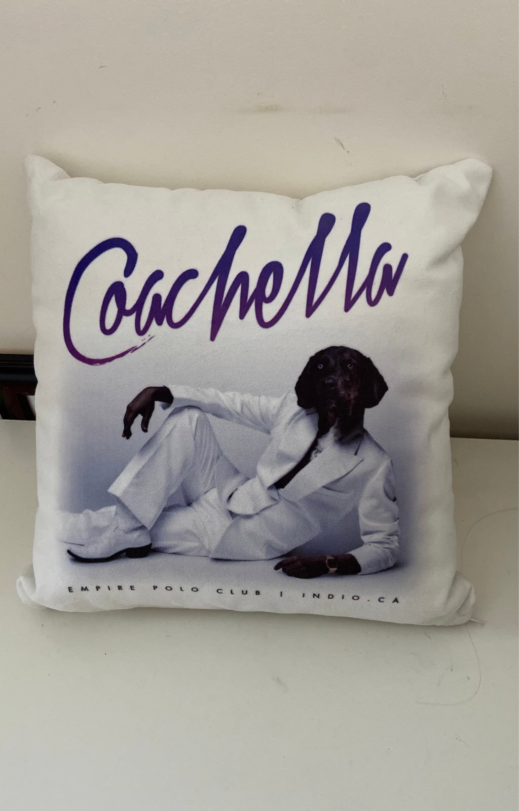 RARE AUTHENTIC Coachella Pillow