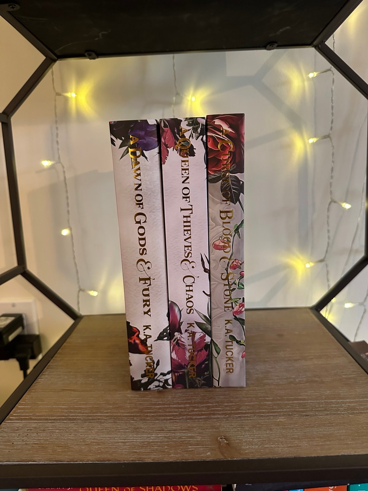 The Bookish Box Fate & Flame series